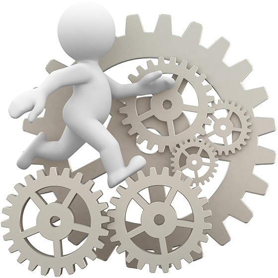 The cervical spine: a precision mechanism The cervical spine: a precision mechanism